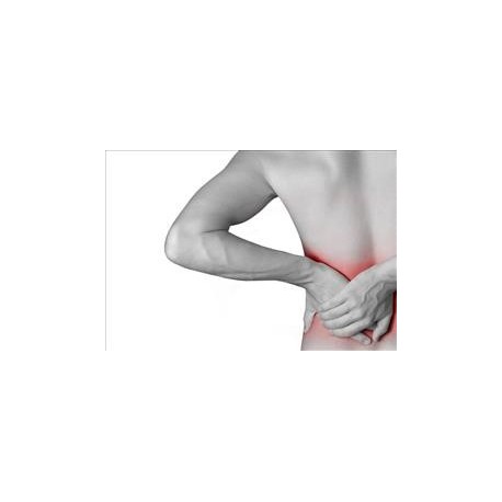 Dispositivo Interlaminar Dinâmico