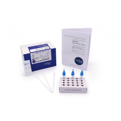Teste Rápido CerTest SARS-CoV-2