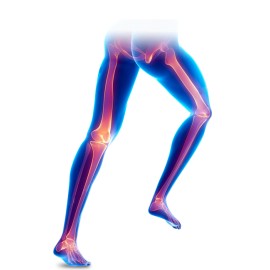 Cimento para Artroplastia